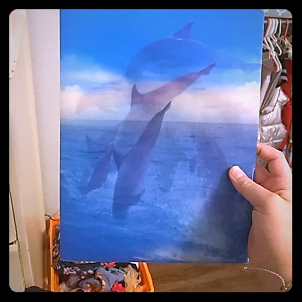 This Is a dolphin from folder